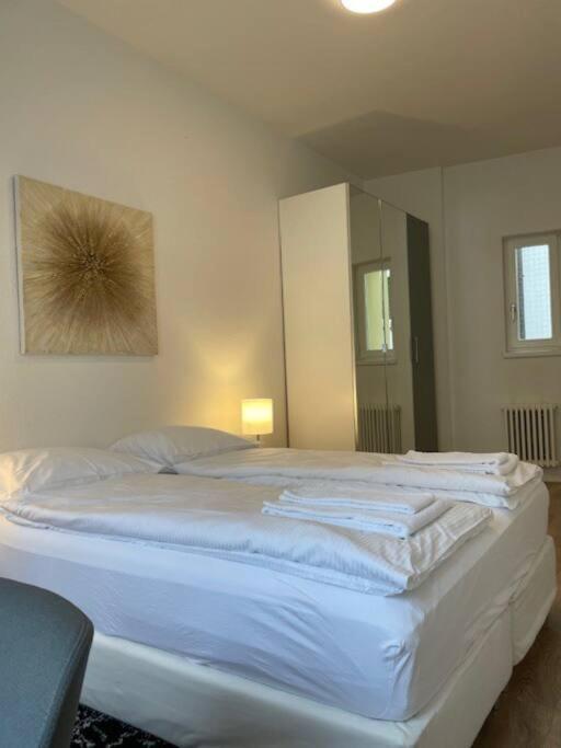 Elegant 2Br Apartment - Canal3 Zurique Exterior foto